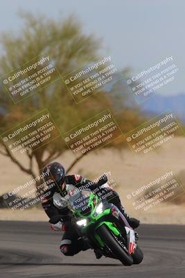 media/Nov-05-2022-SoCal Trackdays (Sat) [[f8d9b725ab]]/Turn 4 Tree of Life (125pm)/